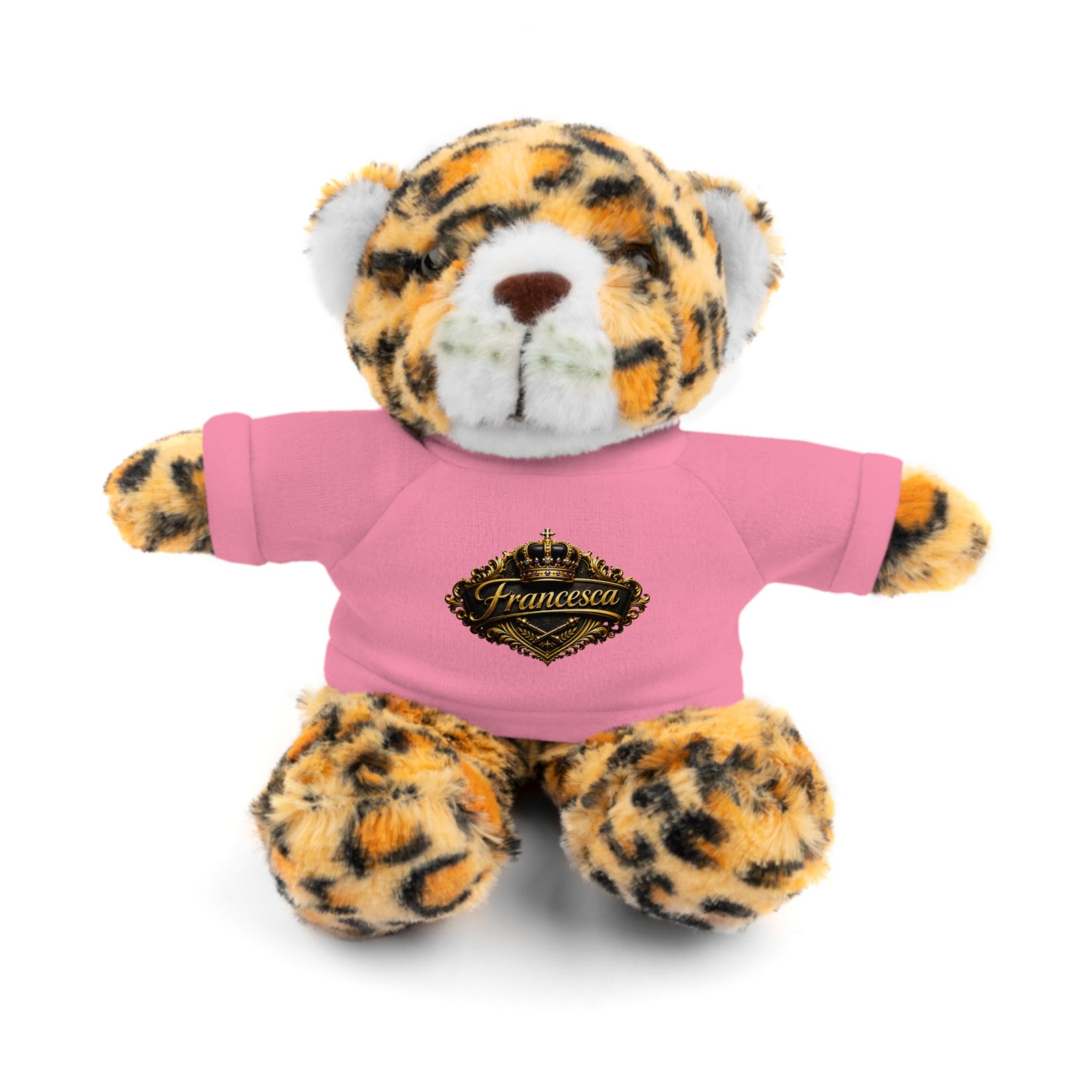 Personalized Teddy Bear with Pink Tee — Custom Name "Francesca" Plush Gift