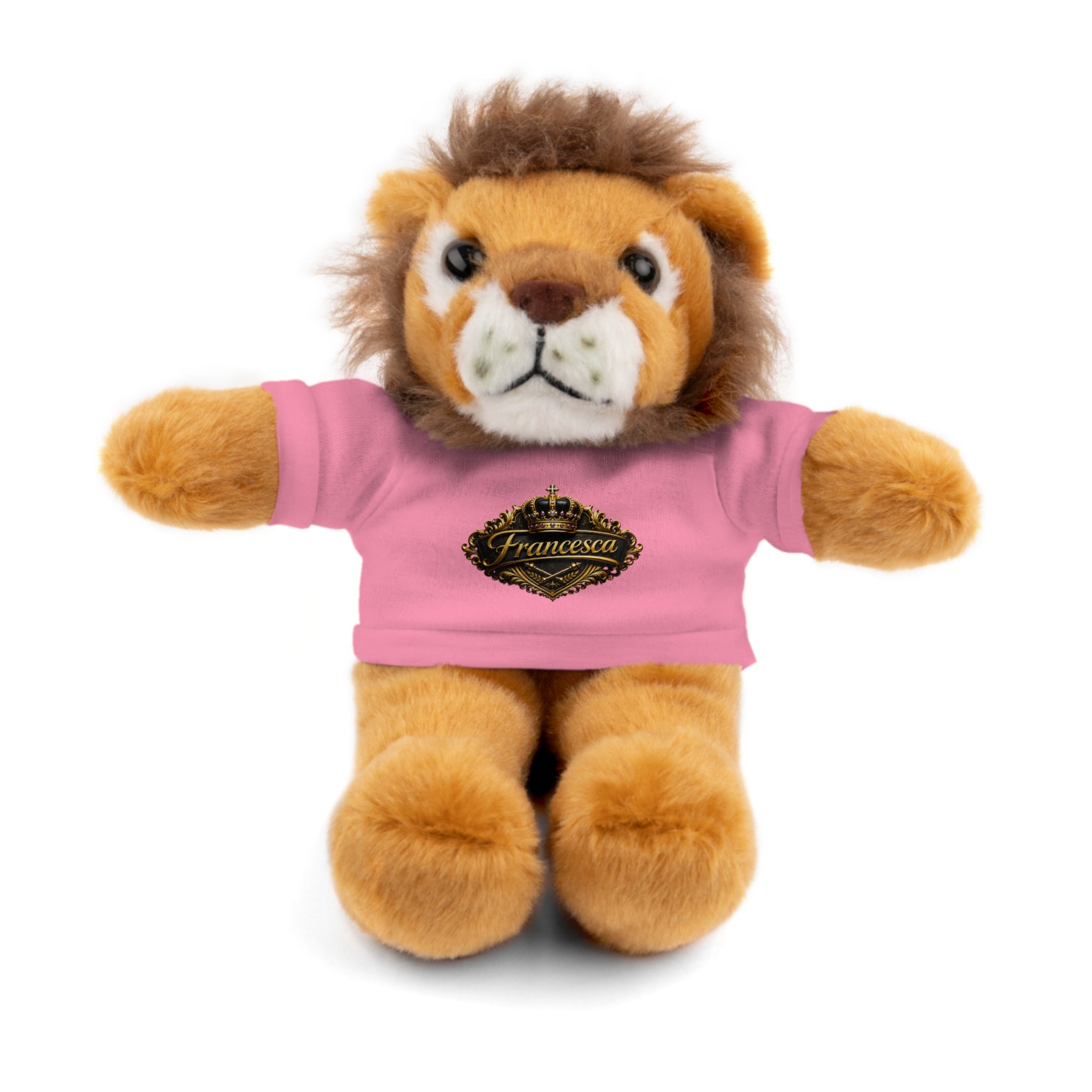 Personalized Teddy Bear with Pink Tee — Custom Name "Francesca" Plush Gift
