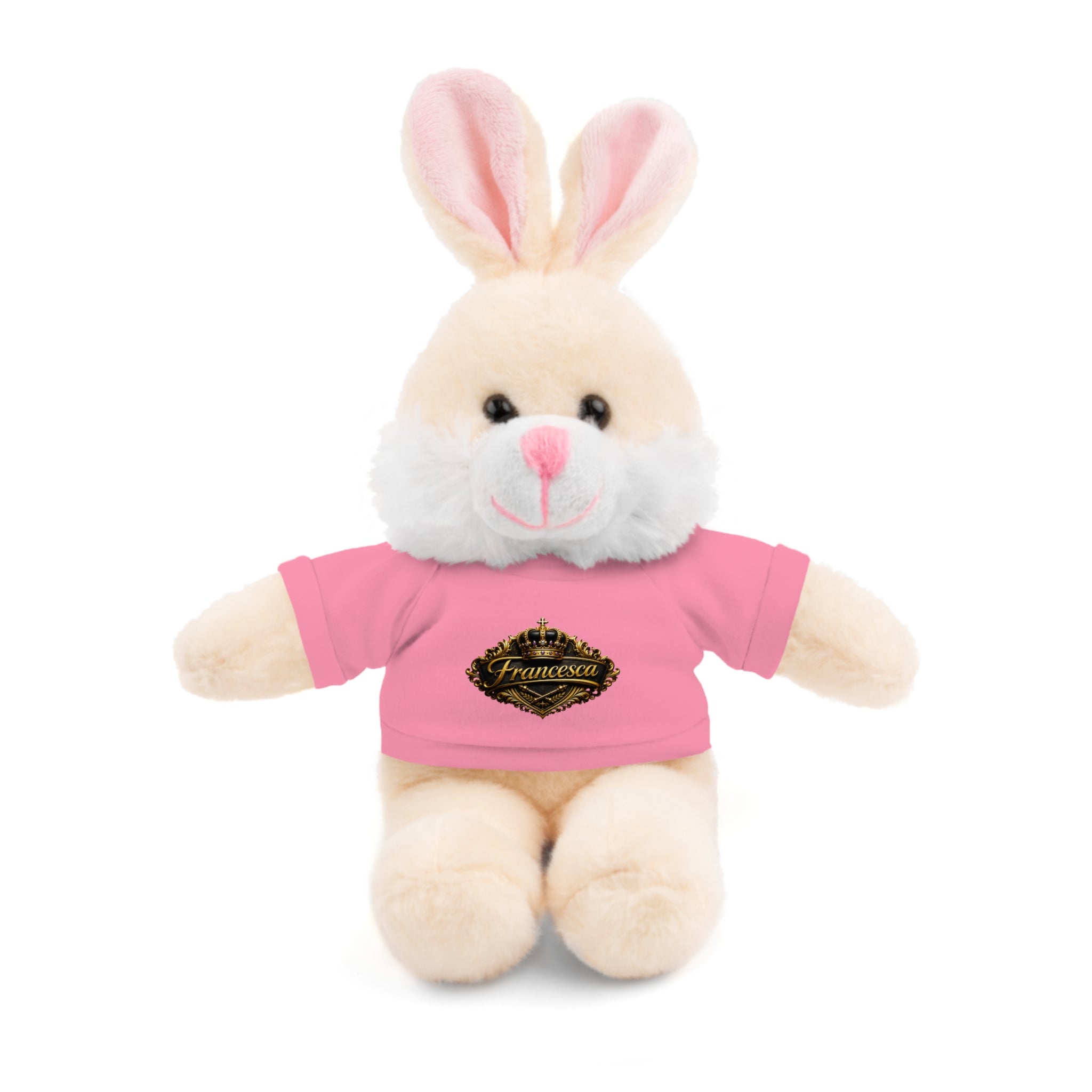 Personalized Teddy Bear with Pink Tee — Custom Name "Francesca" Plush Gift