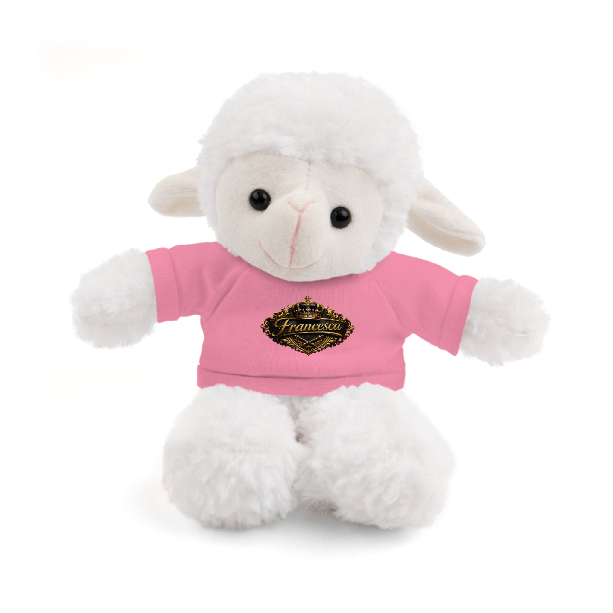 Personalized Teddy Bear with Pink Tee — Custom Name "Francesca" Plush Gift