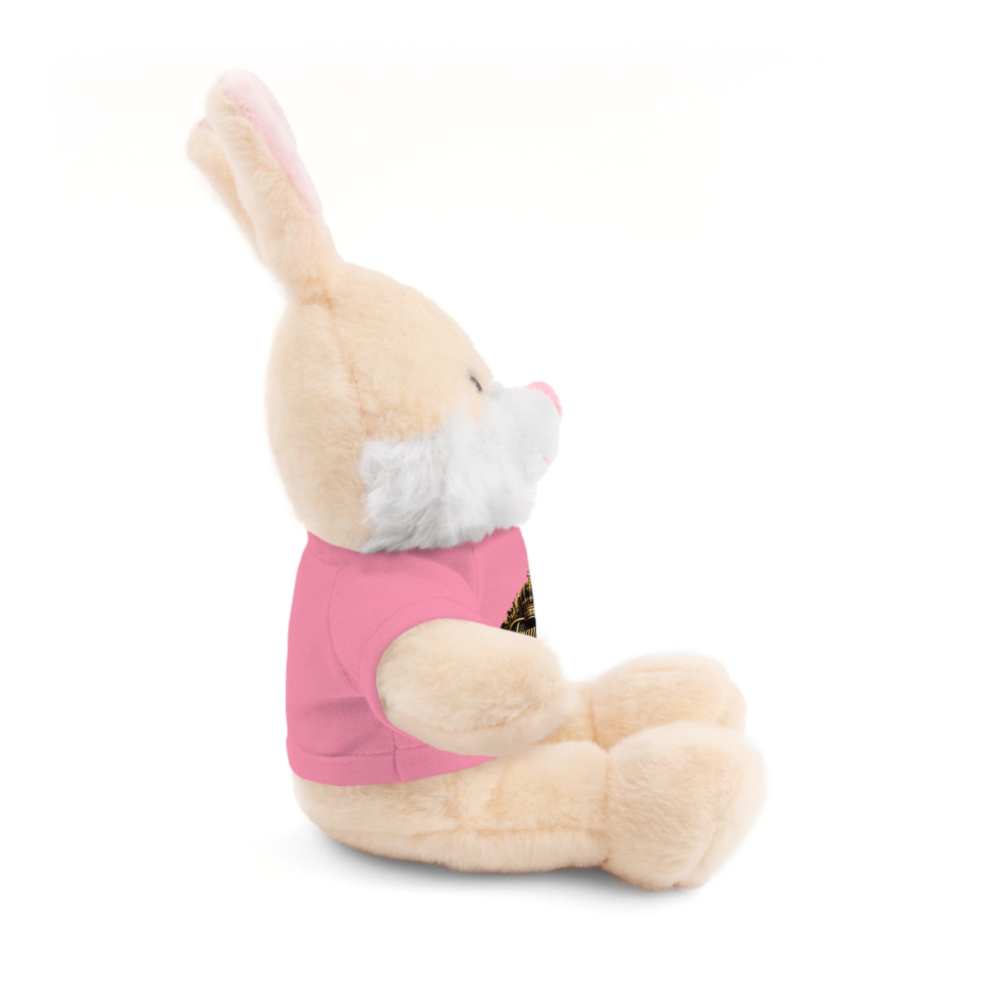 Personalized Teddy Bear with Pink Tee — Custom Name "Francesca" Plush Gift