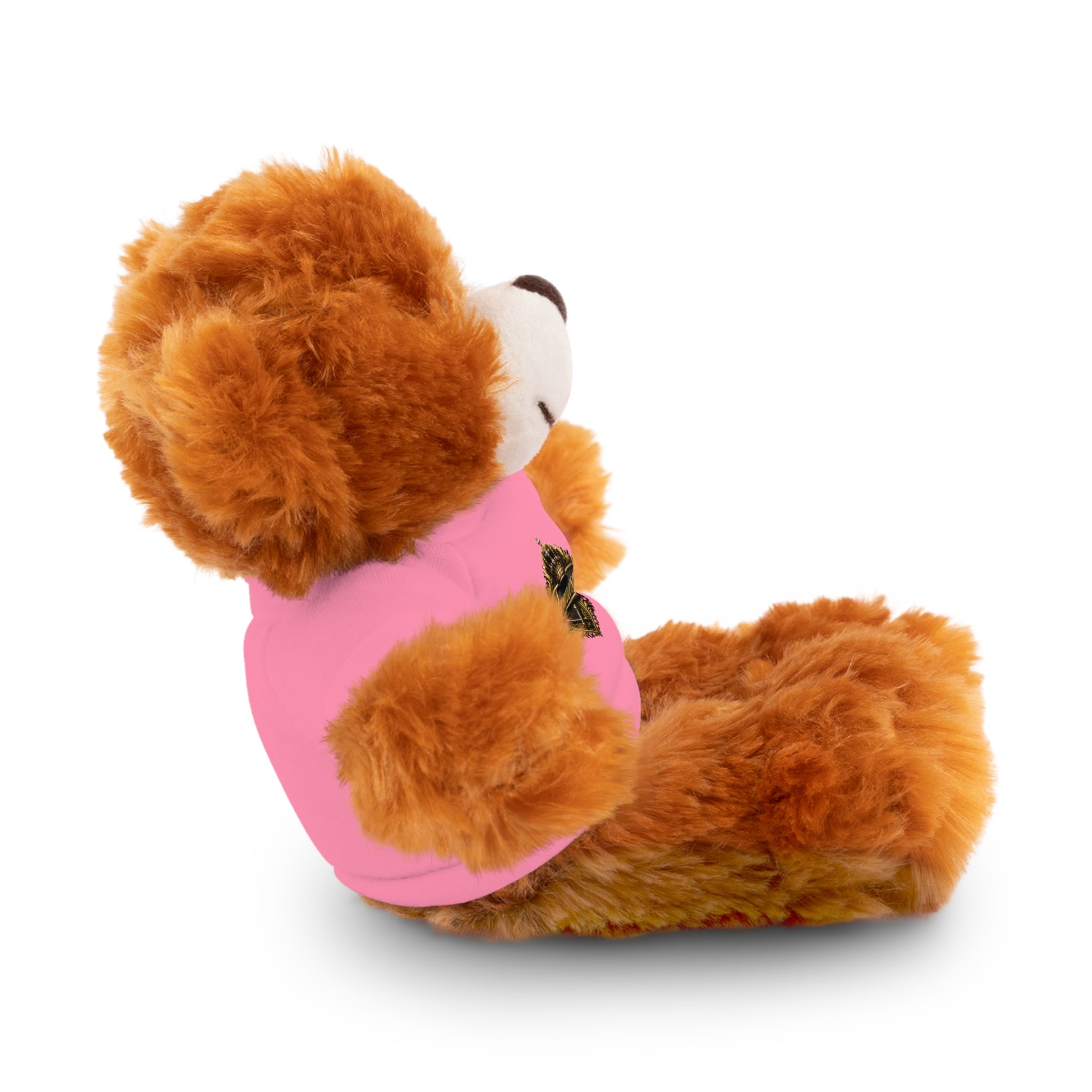 Personalized Teddy Bear with Pink Tee — Custom Name "Francesca" Plush Gift