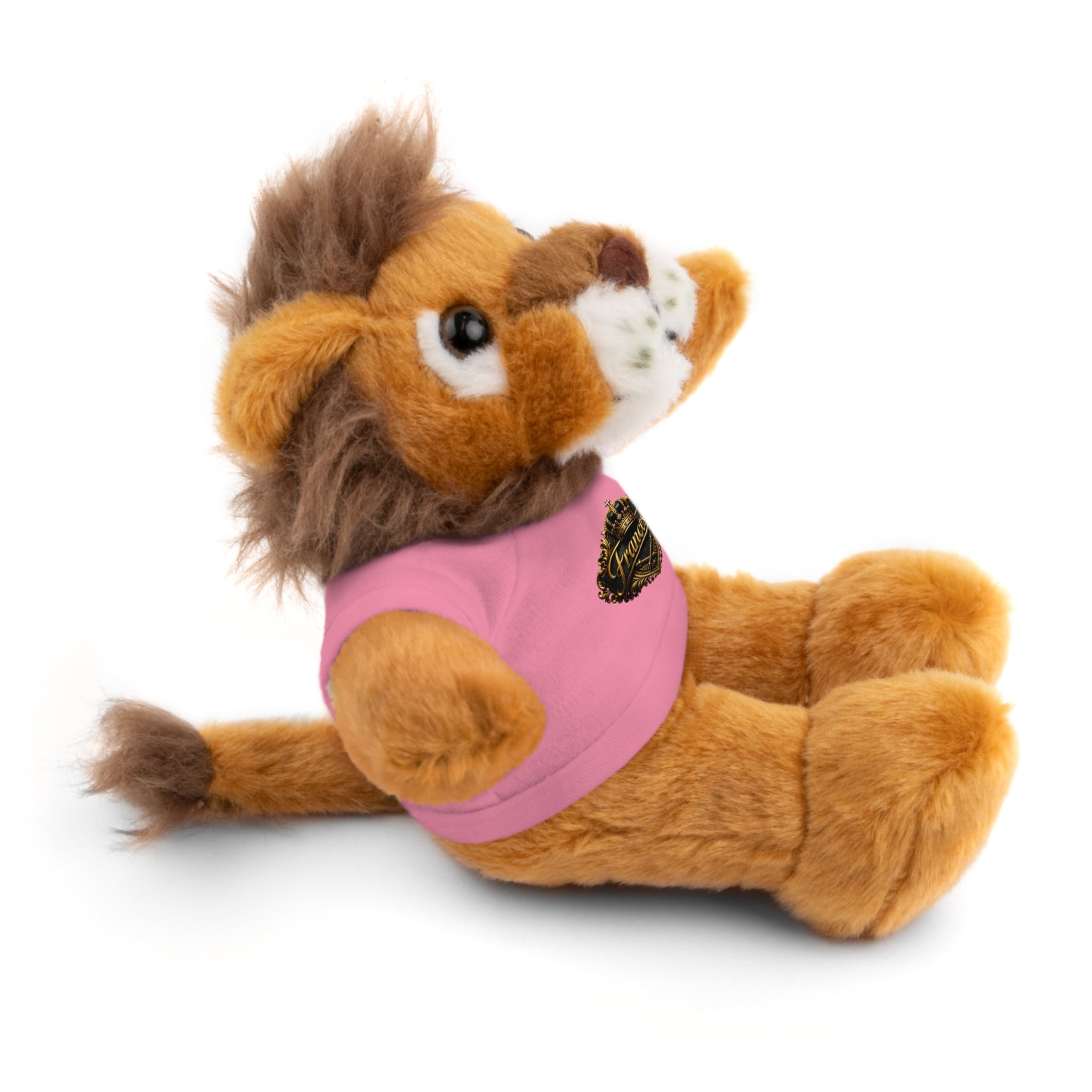 Personalized Teddy Bear with Pink Tee — Custom Name "Francesca" Plush Gift